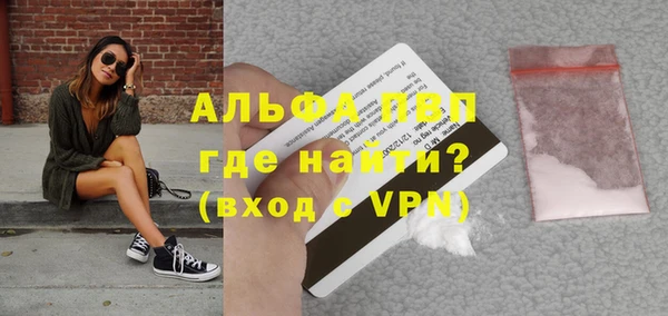 эйфоретик Инта