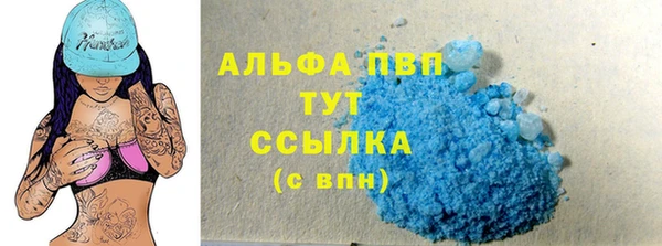 ECSTASY Покачи