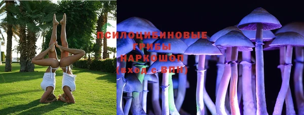 ECSTASY Покачи