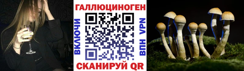 Галлюциногенные грибы GOLDEN TEACHER  магазин    Хотьково 